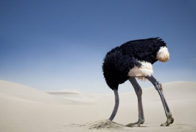 don't put your head in the sand about the may google update